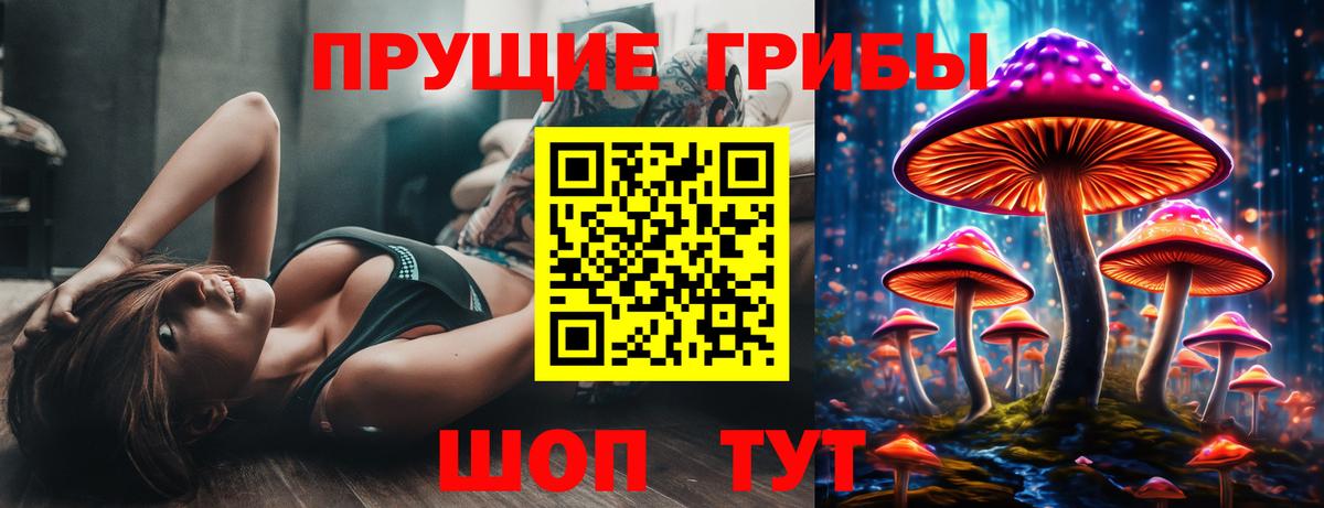 Павловский Посад  Галлюциногенные грибы Psilocybe  Вход с VPN 